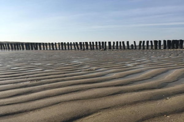 Foto van Appartement bij Noordzee Dishoek Strand - Vakantiehuis in Koudekerke - AreaSummer5KM