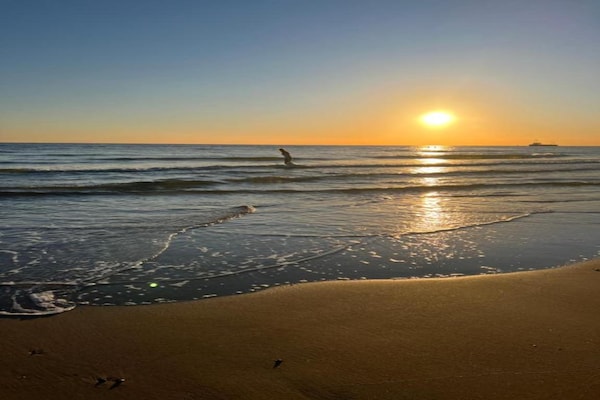 Foto van Stijlvolle Zeeuwse Uitstap - Vakantiehuis in Koudekerke - AreaSummer5KM