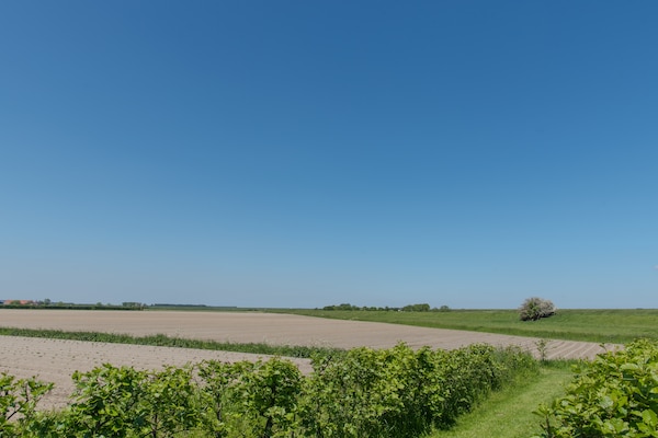 Foto van Schilderachtig verblijf met terras - Vakantiehuis in Wemeldinge - AreaSummer1KM