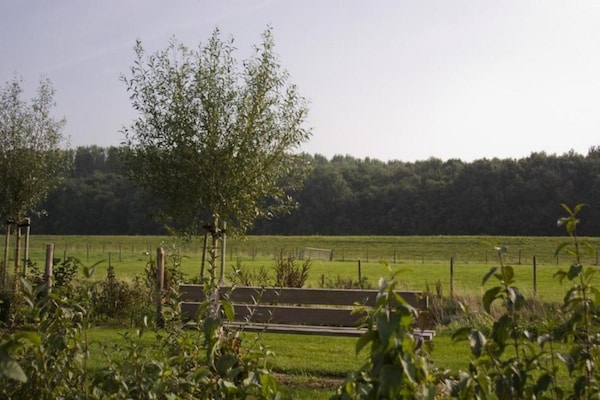 Foto van Chalet in Zeeland bij schilderachtige vijver - Vakantiehuis in Wemeldinge - AreaSummer20KM