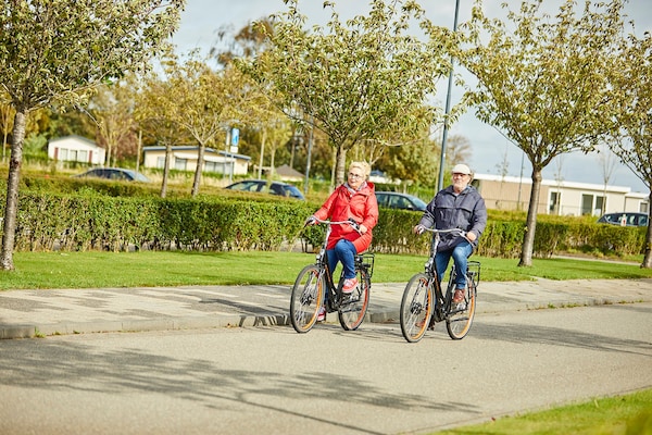 Foto van Vakantiehuis in Zeeland met ruime tuin - Vakantiehuis in Heinkenszand - ParkFacilities
