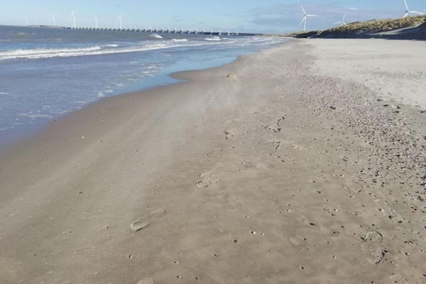 Foto van Gezellige lodge vlakbij het strand - Vakantiehuis in Kamperland - AreaSummer20KM