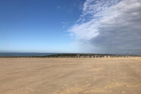 Foto van Bungalow in Nieuwvliet Bad Beach Resort - Vakantiehuis in Nieuwvliet-Bad - AreaSummer20KM