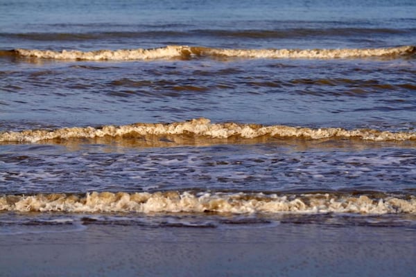 Foto van Lodge in Zeeland bij Nieuwvliet Strand - Vakantiehuis in Nieuwvliet-Bad - AreaSummer20KM