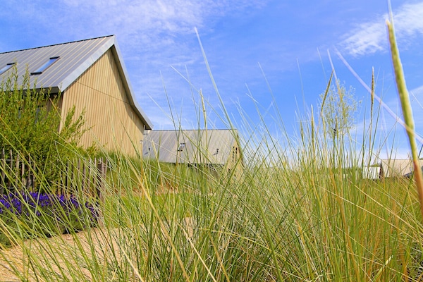 Foto van Villa OesterdamComfort | 6 personen - Vakantiehuis in Tholen - ExteriorSummer