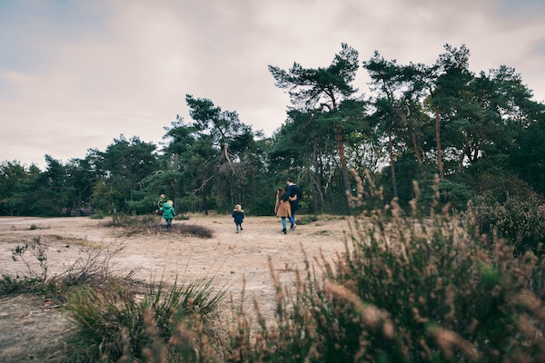 Foto van Safaritent bij De Biesbosch en Breda - Vakantiehuis in Oosterhout - AreaSummer5KM