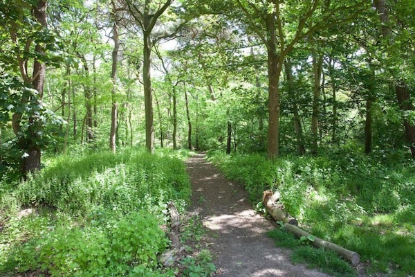 Foto van Safaritent bij De Biesbosch en Breda - Vakantiehuis in Oosterhout - AreaSummer5KM