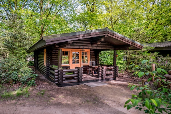 Foto van Vakantiehuis in Brabant met Bubbelbad - Vakantiehuis in Diessen-Baarschot - ExteriorSummer
