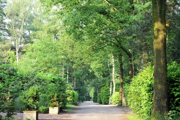 Foto van Chalet in Parc de Kievit met tuin - Vakantiehuis in Baarle-Nassau - GardenSummer