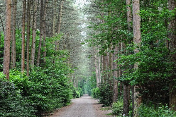 Foto van Chalet in Parc de Kievit met tuin - Vakantiehuis in Baarle-Nassau - GardenSummer