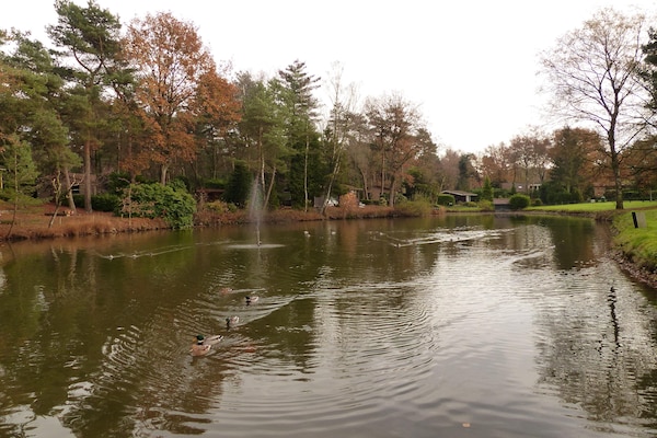 Foto van Chalet in Parc de Kievit met tuin - Vakantiehuis in Baarle-Nassau - AreaSummer5KM