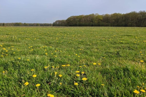 Foto van Chalet in Parc de Kievit met tuin - Vakantiehuis in Baarle-Nassau - AreaSummer20KM