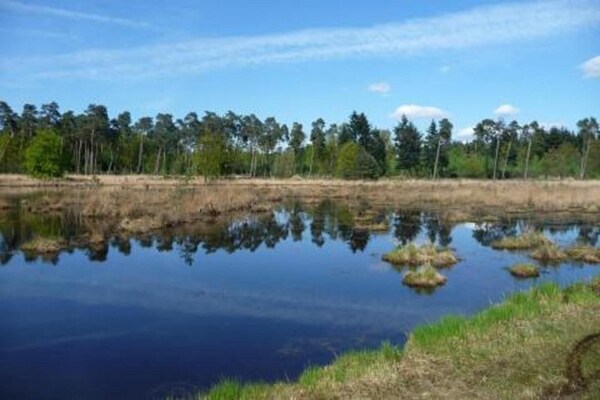 Foto van Chalet in Parc de Kievit met tuin - Vakantiehuis in Baarle-Nassau - AreaSummer20KM