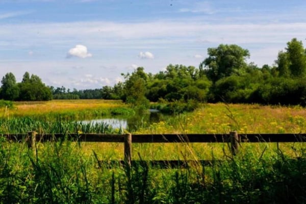 Foto van Lodge in Schaijk bij Vakantiepark - Vakantiehuis in Schaijk - AreaSummer5KM