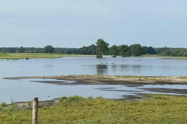 Foto van Lodge in Schaijk bij Vakantiepark - Vakantiehuis in Schaijk - AreaSummer5KM