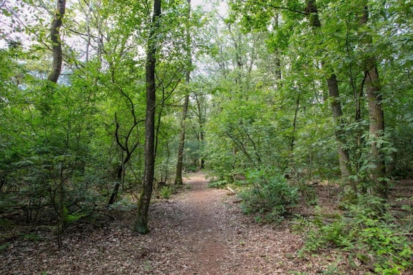 Foto van Luxe Lodge Nabij Schaijk - Vakantiehuis in Schaijk - AreaSummer5KM