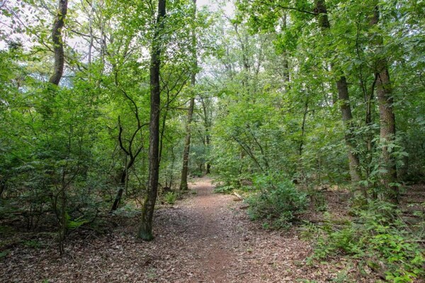 Foto van Ruime villa in bospark - Vakantiehuis in Schaijk - AreaSummer5KM