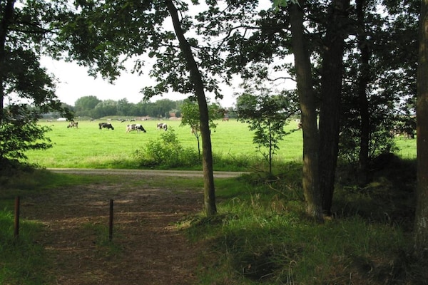 Foto van Ruime villa in bospark - Vakantiehuis in Schaijk - AreaSummer5KM