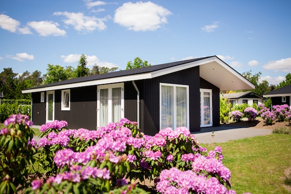 Foto van Chalet in Nederland bij Vijver - Vakantiehuis in Veldhoven - ExteriorSummer