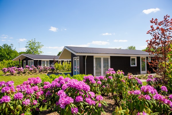 Foto van Chalet in Nederland bij Vijver - Vakantiehuis in Veldhoven - ExteriorSummer