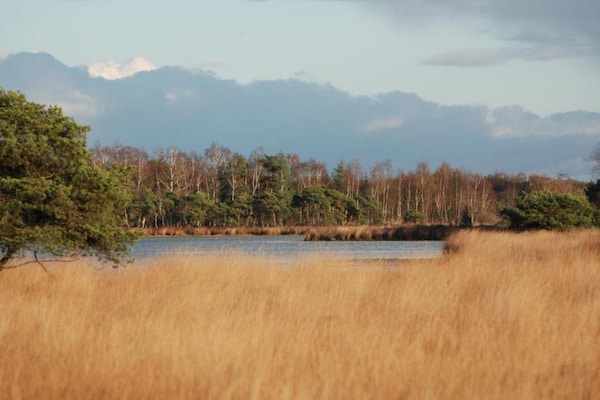 Foto van Chalet bij Vijver met Sauna - Vakantiehuis in Veldhoven - AreaSummer20KM