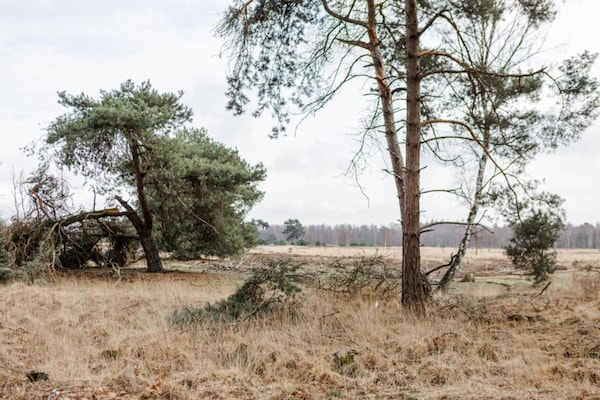 Foto van Bos Safari Tent Retreat - Vakantiehuis in Mierlo - AreaSummer5KM