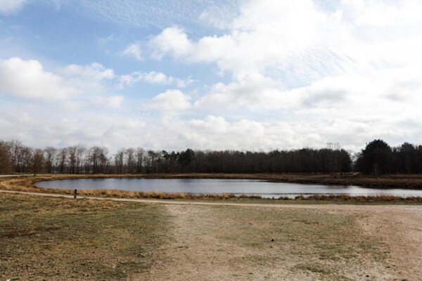 Foto van Chalet in Eindhoven bij Bosrijke Natuur - Vakantiehuis in Mierlo - AreaSummer5KM