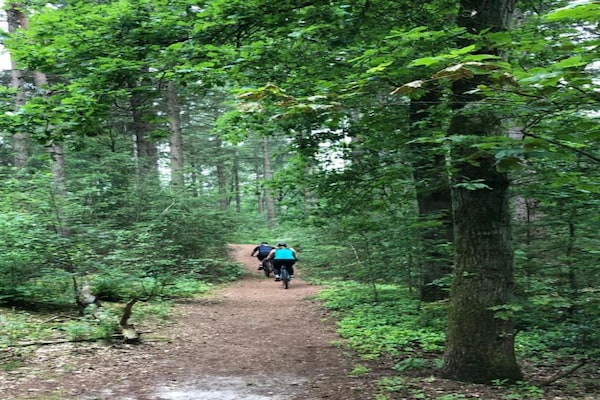 Foto van Chalet in Eindhoven bij Bosrijke Natuur - Vakantiehuis in Mierlo - AreaSummer5KM
