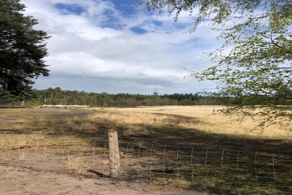 Foto van Chalet in Eindhoven bij Bosrijke Natuur - Vakantiehuis in Mierlo - AreaSummer5KM