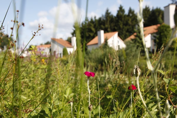 Foto van Appartement in Nederland bij natuurpaden - Vakantiehuis in Arcen - AreaSummer1KM