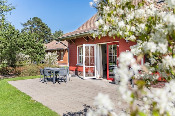Foto van Luxe villa met zwembad en sauna - Vakantiehuis in Weert - ExteriorSummer