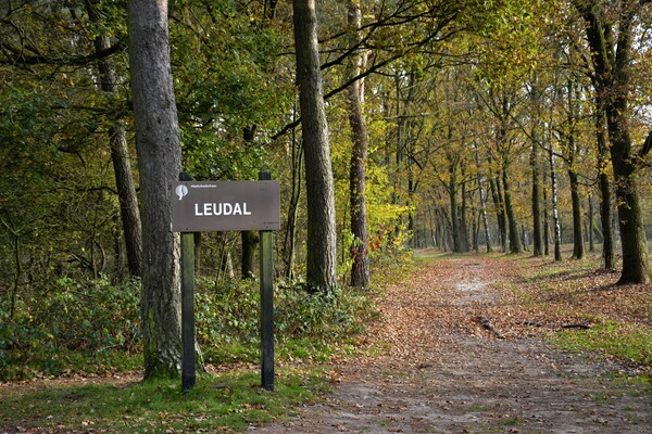 Foto van Ontsnapping uit een kwispelend meer - Vakantiehuis in Heel - AreaSummer5KM