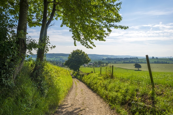 Foto van Vakantiehuis in Limburg met Buitenhaard - Vakantiehuis in Bemelen - AreaSummer5KM