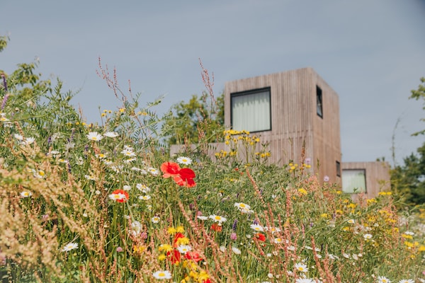 Foto van Leuke heuvellodge in Gulpen met geweldig uitzicht - Vakantiehuis in Gulpen - AreaSummer1KM