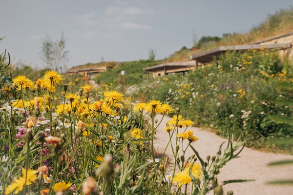 Foto van Leuke heuvellodge in Gulpen met geweldig uitzicht - Vakantiehuis in Gulpen - AreaSummer1KM