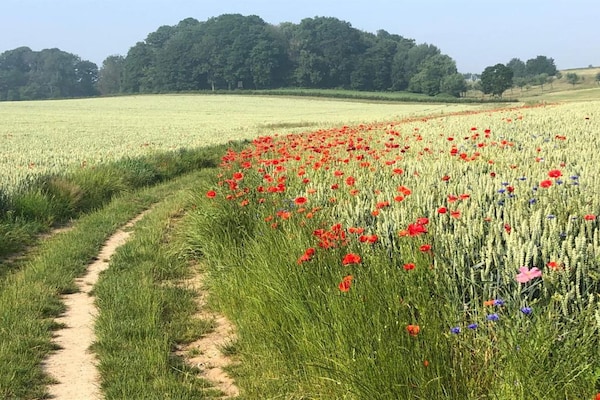 Foto van Leuke heuvellodge in Gulpen met geweldig uitzicht - Vakantiehuis in Gulpen - AreaSummer20KM