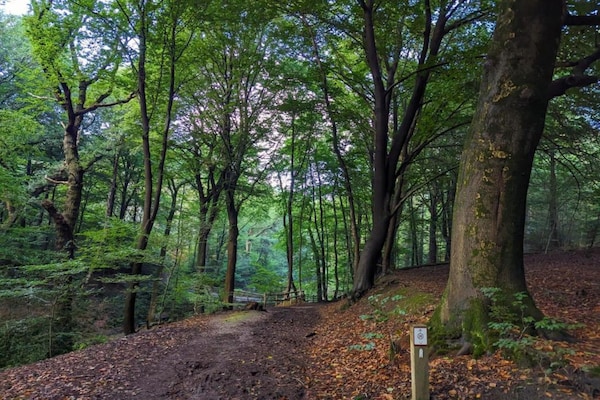 Foto van Vakantiehuis in Plasmolen bij Meren - Vakantiehuis in Plasmolen - AreaSummer20KM