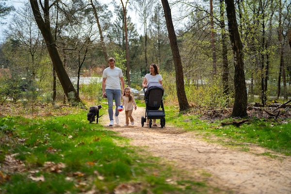 Foto van Luxe verblijf nabij Veluwepark - Vakantiehuis in Hoenderloo - AreaSummer1KM