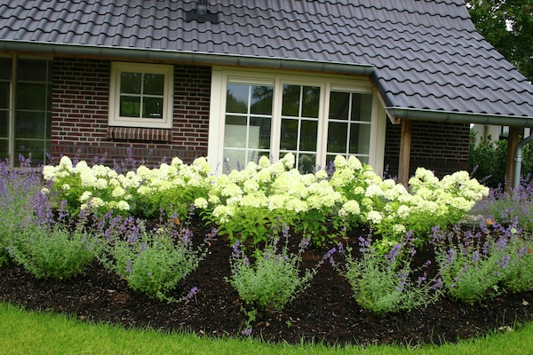 Foto van Stijlvol Toevluchtsoord in Hellendoorn - Vakantiehuis in Hellendoorn - GardenSummer