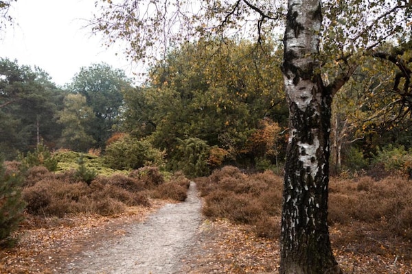 Foto van Stijlvol Toevluchtsoord in Hellendoorn - Vakantiehuis in Hellendoorn - AreaSummer5KM