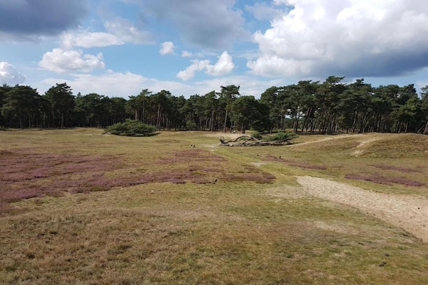 Foto van Stijlvol Toevluchtsoord in Hellendoorn - Vakantiehuis in Hellendoorn - AreaSummer5KM