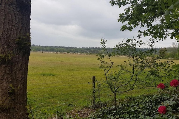 Foto van Stijlvol Toevluchtsoord in Hellendoorn - Vakantiehuis in Hellendoorn - AreaSummer5KM