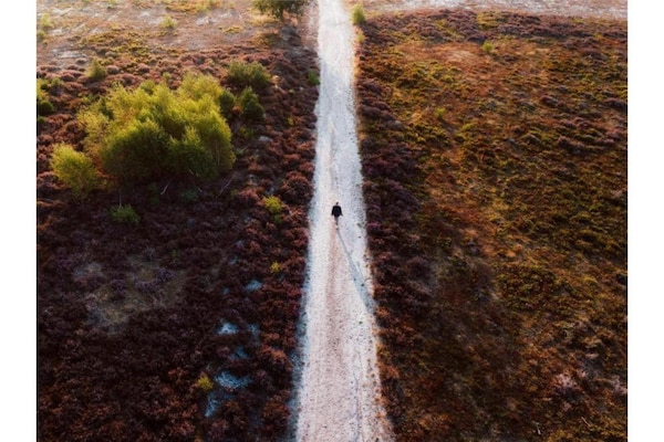 Foto van Gezellig chalet met tuin - Vakantiehuis in Rijssen - AreaSummer5KM
