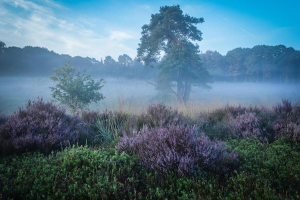 Foto van Gezellig chalet met tuin - Vakantiehuis in Rijssen - AreaSummer5KM