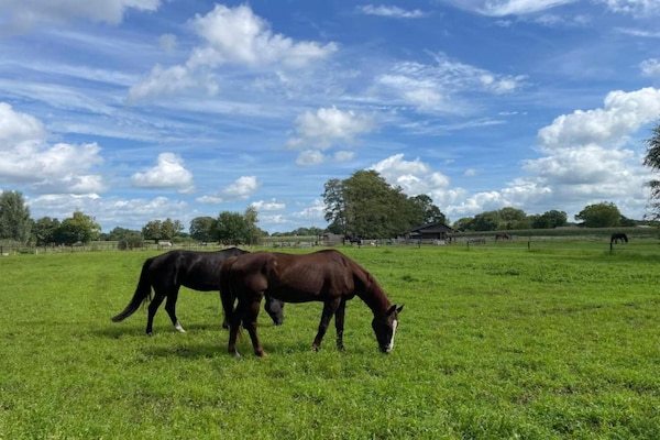 Foto van Rustiek-Chique Vakantiehuis - Vakantiehuis in Enter - AreaSummer20KM