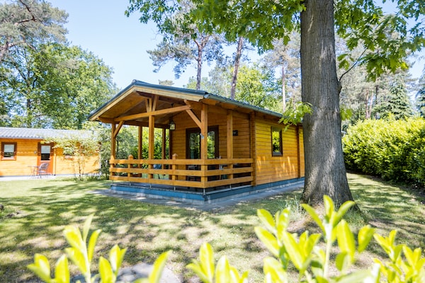 Foto van Lodge in Markelo met Sauna en Zwembad - Vakantiehuis in Markelo - ExteriorSummer