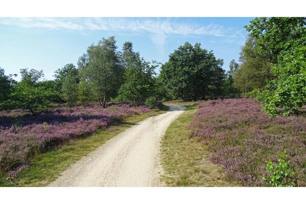 Foto van Vakantiehuis in Markelo bij bos en zwembad - Vakantiehuis in Markelo - AreaSummer1KM
