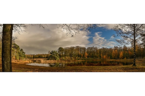Foto van Luxe familielodge met slaaphoekje buiten - Vakantiehuis in Balkbrug - AreaSummer20KM