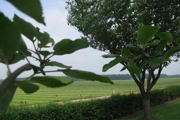 Foto van Chalet in Nederland bij Bos en Water - Vakantiehuis in Dalfsen - AreaSummer20KM