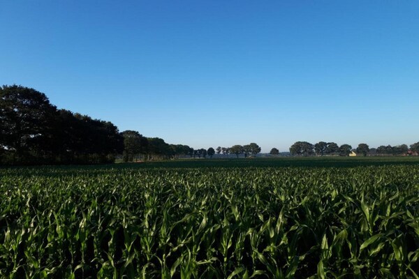 Foto van Rustige vakantie in Dalfsen - Vakantiehuis in Dalfsen - AreaSummer20KM